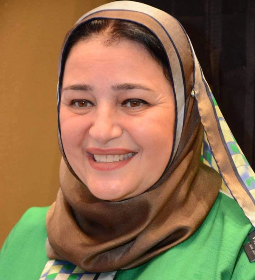 عبير عصام الدين رئيس المجلس العربي لسيدات الأعمال