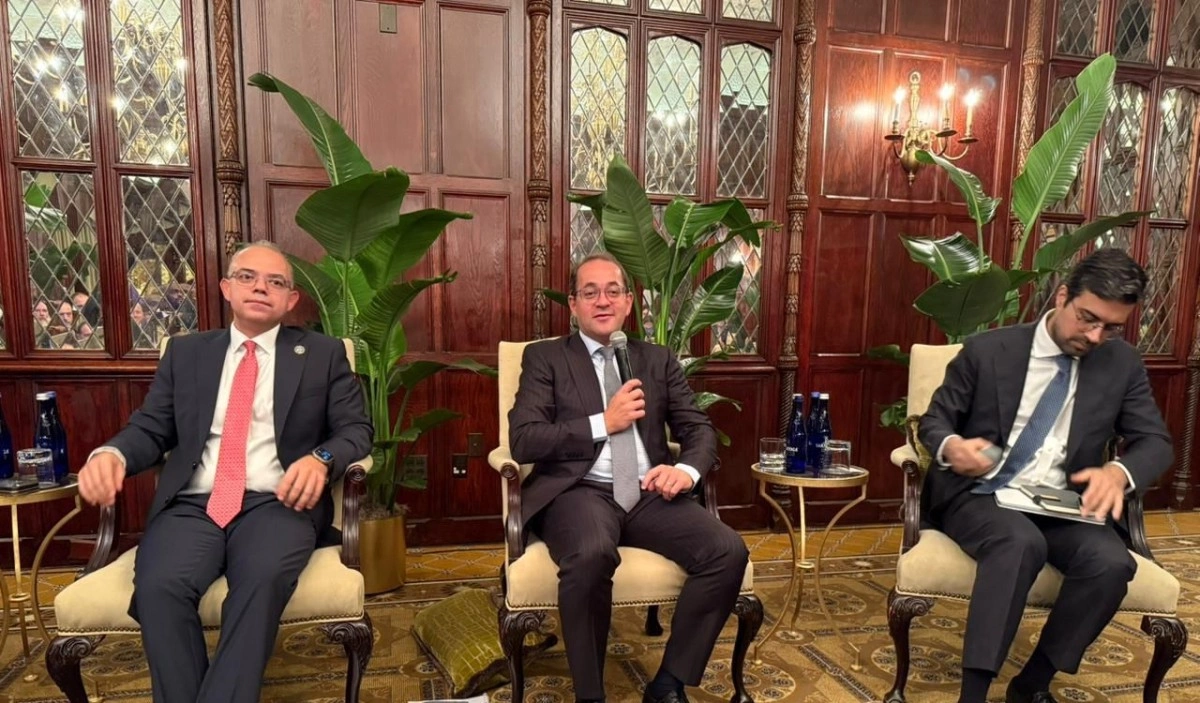 وزير المالية