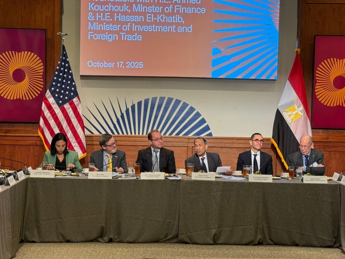 وزير المالية