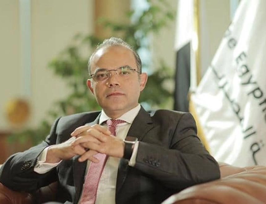 الدكتور محمد فريد رئيس الهيئة العامة للرقابة المالية