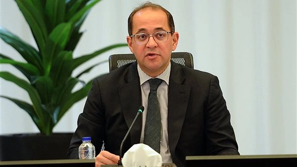 وزير المالية