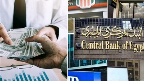 القطاع المصرفي المصري