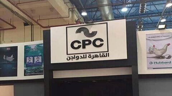 شركة القاهرة للدواجن