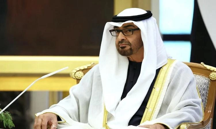 محمد بن زايد